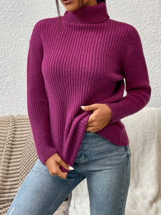 Shop Ribbed Turtle Neck Long Sleeve Sweater Now On Klozey Store - Trendy U.S. Premium Women Apparel & Accessories And Be Up-To-Fashion!